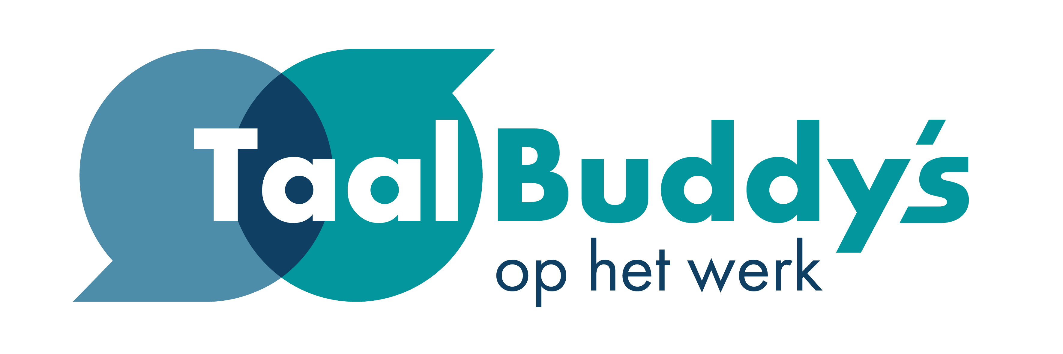 Logo Taalbuddy's op het werk